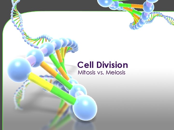 Cell Division Mitosis vs. Meiosis 