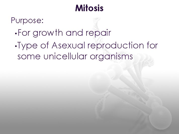 Mitosis Purpose: • For growth and repair • Type of Asexual reproduction for some