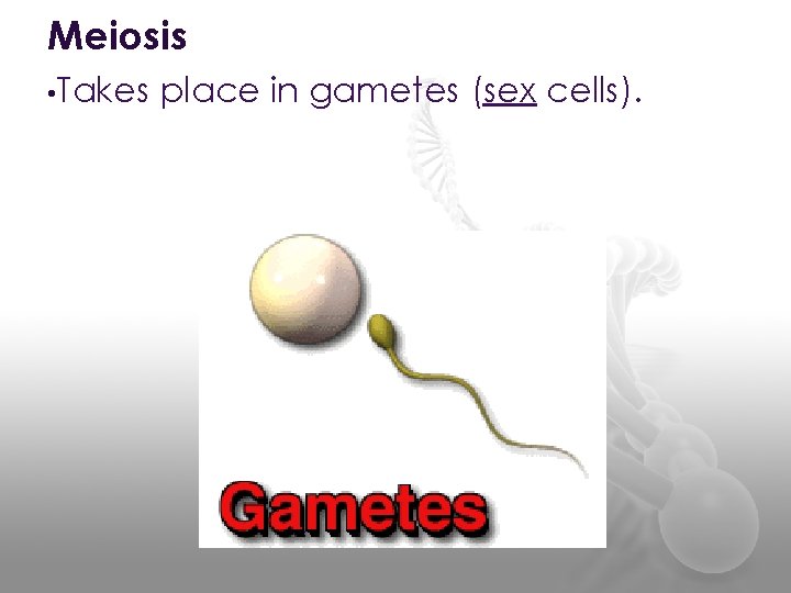 Meiosis • Takes place in gametes (sex cells). 