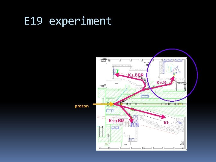 E 19 experiment K 1. 8 BR K 1. 8 proton K 1. 1