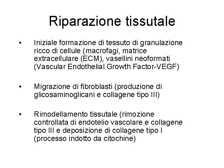 Riparazione tissutale • Iniziale formazione di tessuto di granulazione ricco di cellule (macrofagi, matrice