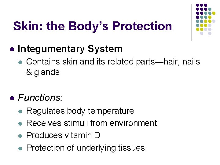 Skin: the Body’s Protection l Integumentary System l l Contains skin and its related Skin: the Body’s Protection l Integumentary System l l Contains skin and its related