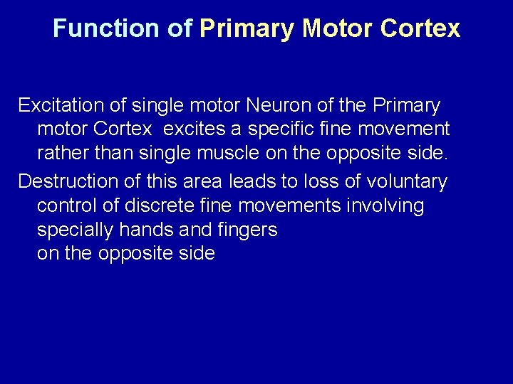 Function of Primary Motor Cortex Excitation of single motor Neuron of the Primary motor