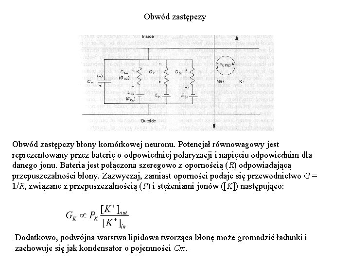 Obwód zastępczy błony komórkowej neuronu. Potencjał równowagowy jest reprezentowany przez baterię o odpowiedniej polaryzacji