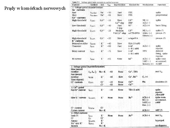 Prądy w komórkach nerwowych 