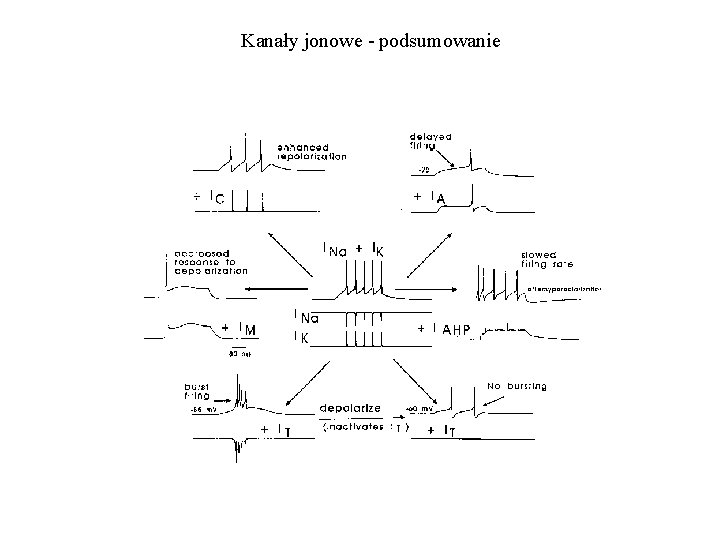 Kanały jonowe - podsumowanie 