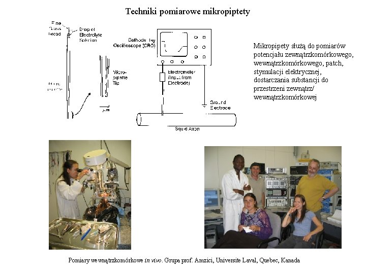 Techniki pomiarowe mikropiptety Mikropipety służą do pomiarów potencjału zewnątrzkomórkowego, wewnątrzkomórkowego, patch, stymulacji elektrycznej, dostarczania