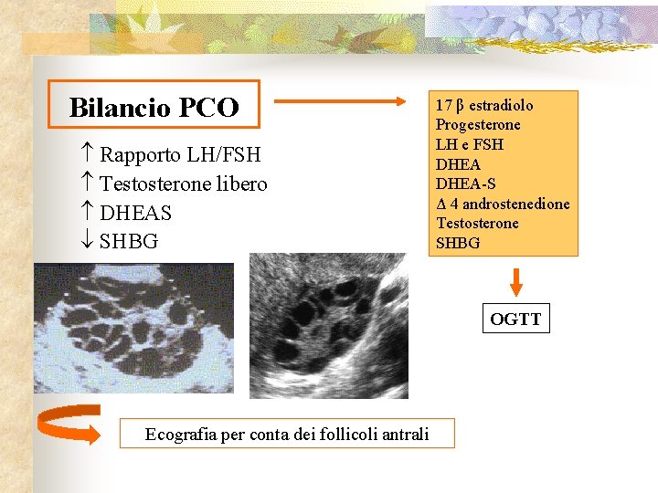 Bilancio PCO Rapporto LH/FSH Testosterone libero DHEAS SHBG 17 β estradiolo Progesterone LH e