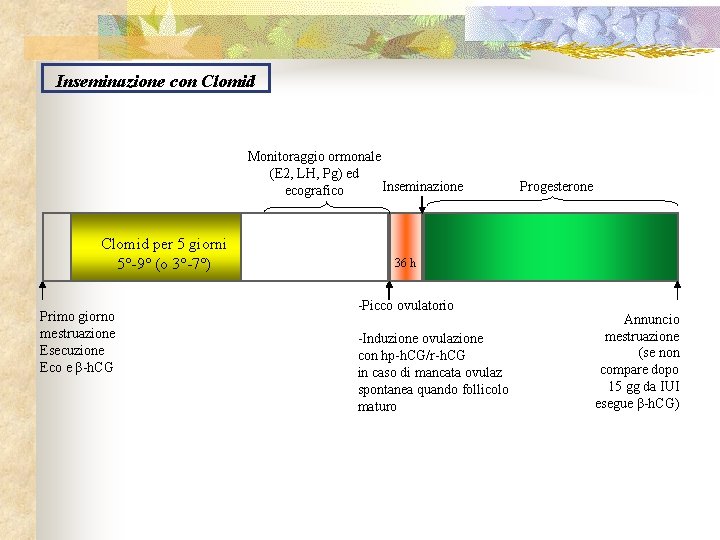 Inseminazione con Clomid Monitoraggio ormonale (E 2, LH, Pg) ed Inseminazione ecografico Clomid per