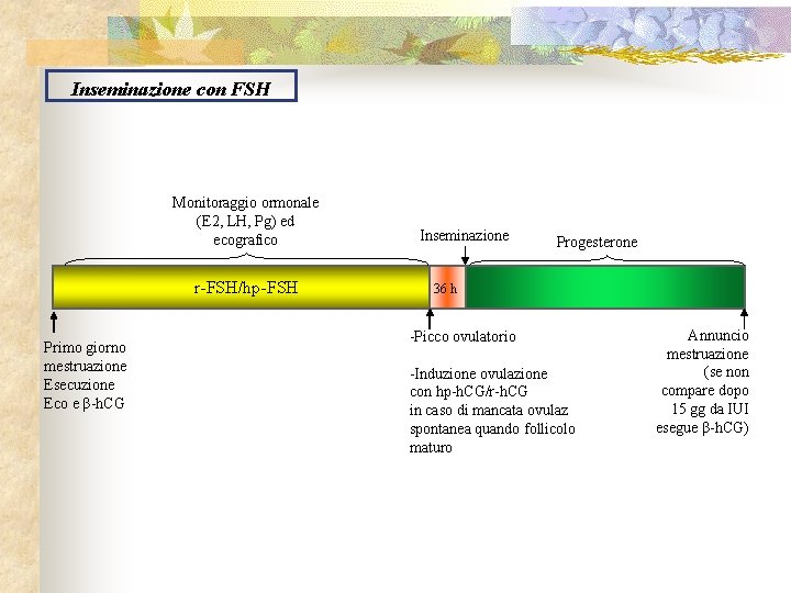 Inseminazione con FSH Monitoraggio ormonale (E 2, LH, Pg) ed ecografico r-FSH/hp-FSH Primo giorno