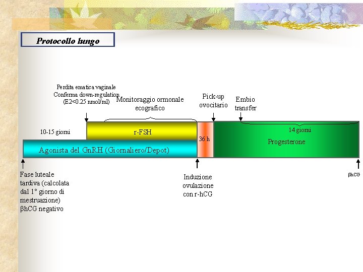 Protocollo lungo Perdita ematica vaginale Conferma down-regulation (E 2<0. 25 nmol/ml) Monitoraggio ormonale ecografico