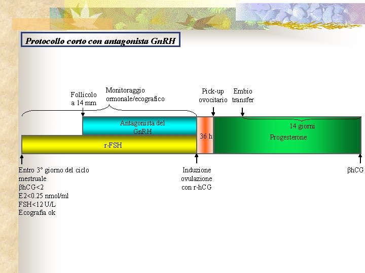 Protocollo corto con antagonista Gn. RH Follicolo a 14 mm Monitoraggio ormonale/ecografico Antagonista del