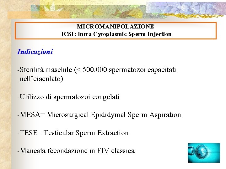 MICROMANIPOLAZIONE ICSI: Intra Cytoplasmic Sperm Injection Indicazioni - Sterilità maschile (< 500. 000 spermatozoi