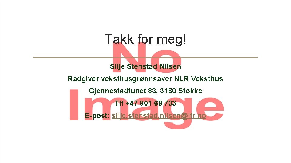 Takk for meg! Silje Stenstad Nilsen Rådgiver veksthusgrønnsaker NLR Veksthus Gjennestadtunet 83, 3160 Stokke