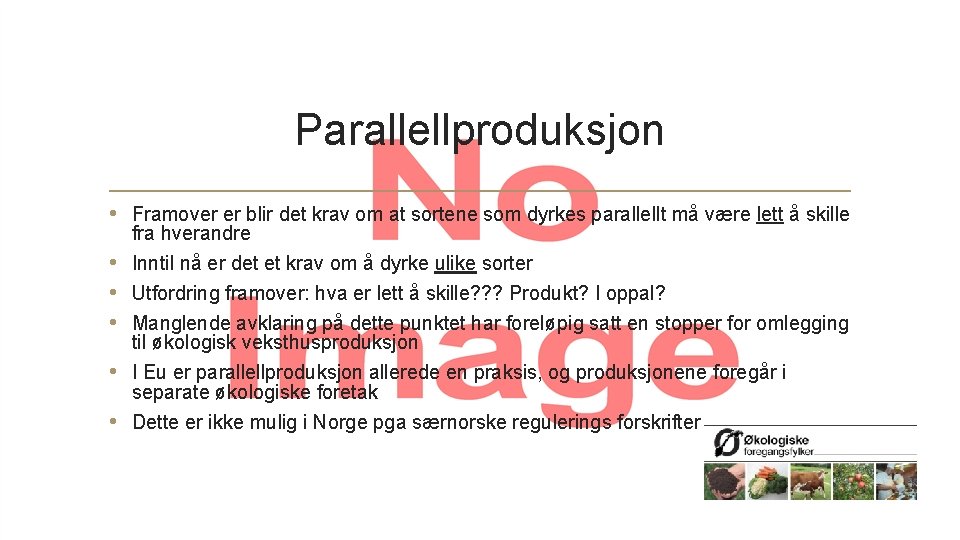 Parallellproduksjon • Framover er blir det krav om at sortene som dyrkes parallellt må