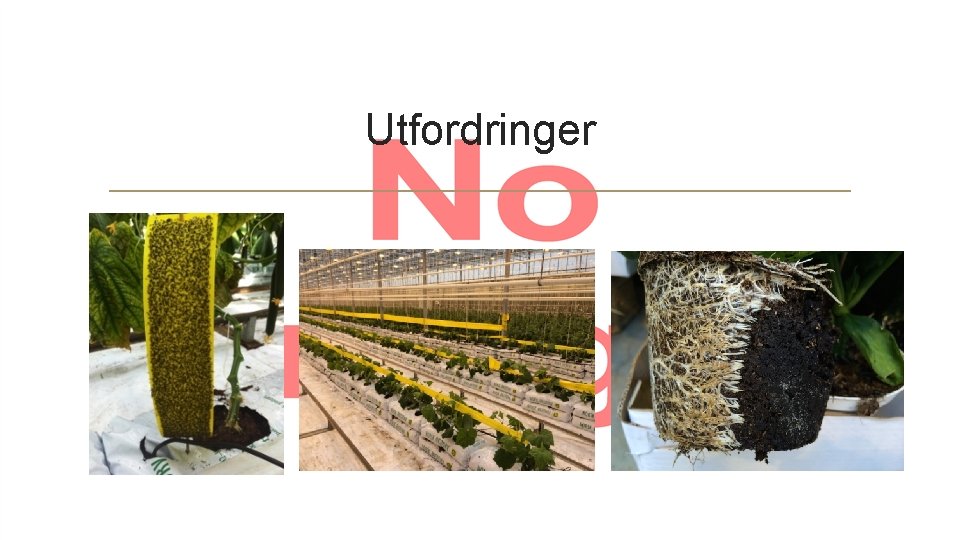 Utfordringer 