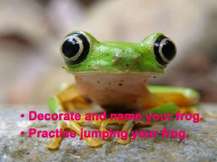  • Decorate and name your frog. • Practice jumping your frog. 