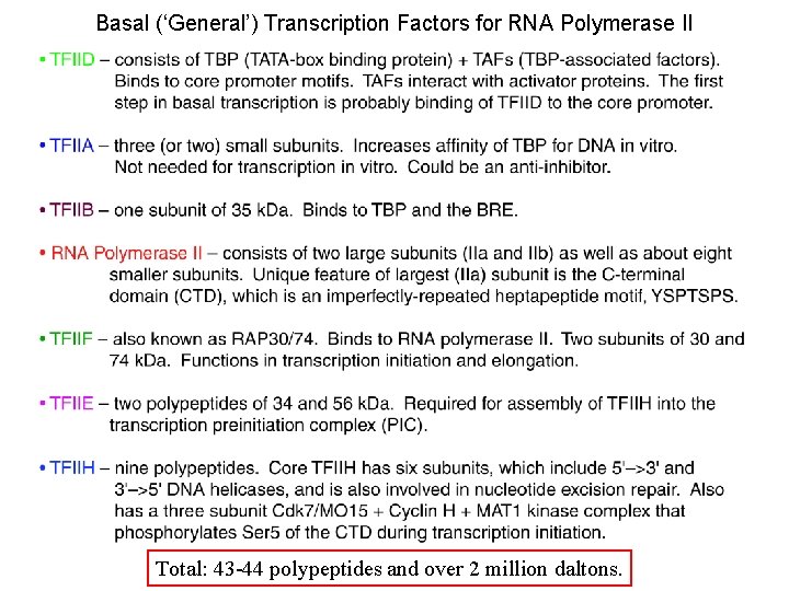 Basal (‘General’) Transcription Factors for RNA Polymerase II Total: 43 -44 polypeptides and over