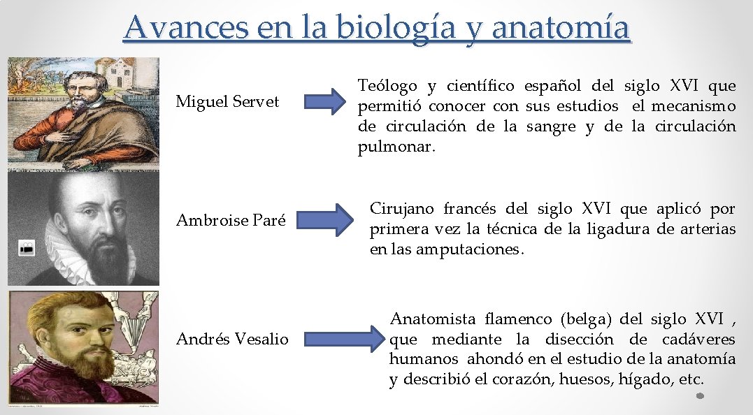 Avances en la biología y anatomía Miguel Servet Ambroise Paré Andrés Vesalio Teólogo y