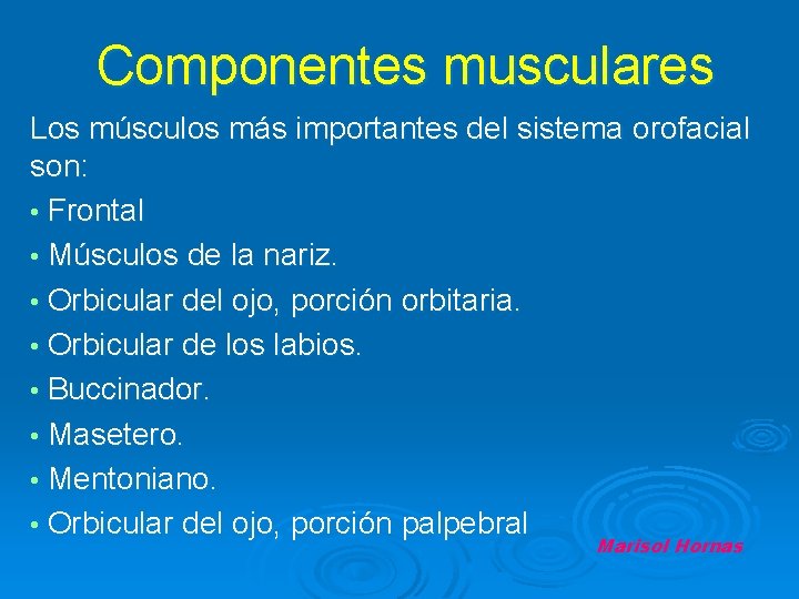 Componentes musculares Los músculos más importantes del sistema orofacial son: • Frontal • Músculos