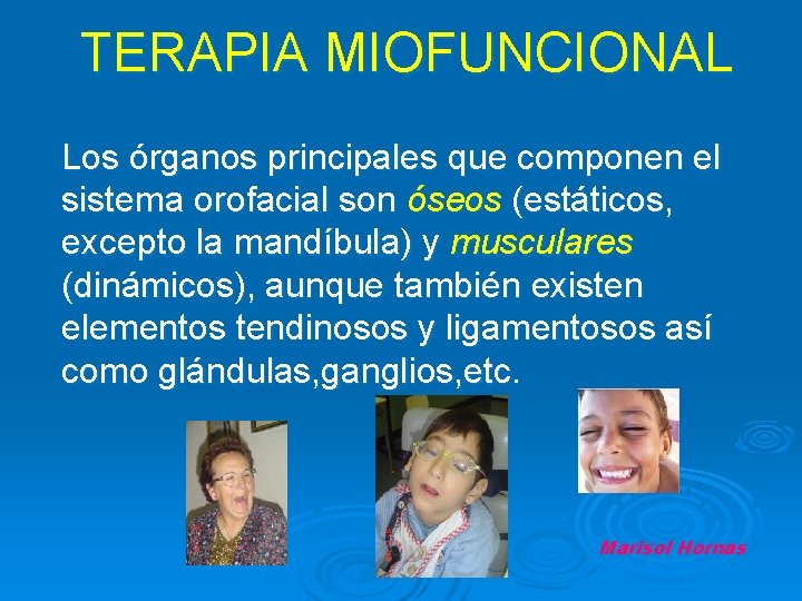 TERAPIA MIOFUNCIONAL Los órganos principales que componen el sistema orofacial son óseos (estáticos, excepto