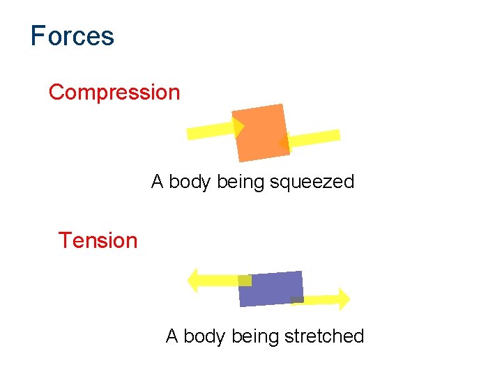 Forces Compression A body being squeezed Tension A body being stretched 