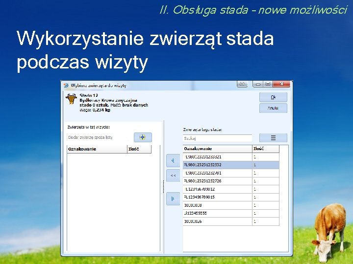 II. Obsługa stada – nowe możliwości Wykorzystanie zwierząt stada podczas wizyty 