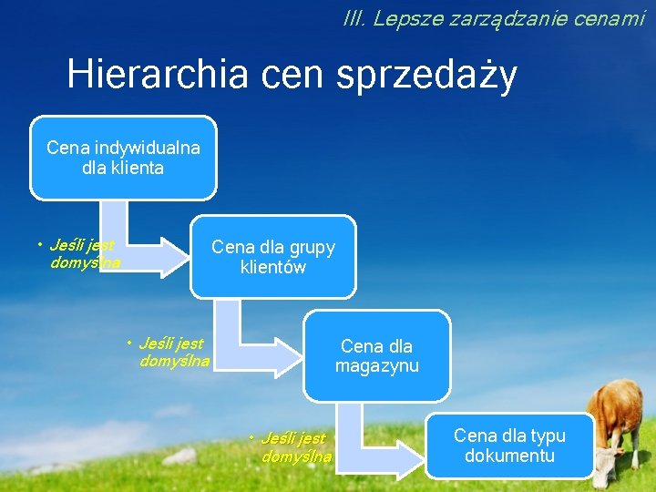 III. Lepsze zarządzanie cenami Hierarchia cen sprzedaży Cena indywidualna dla klienta • Jeśli jest