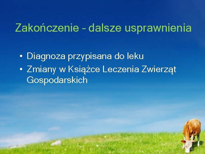 Zakończenie – dalsze usprawnienia • Diagnoza przypisana do leku • Zmiany w Książce Leczenia