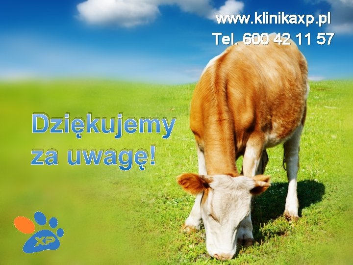 www. klinikaxp. pl Tel. 600 42 11 57 Dziękujemy za uwagę! 