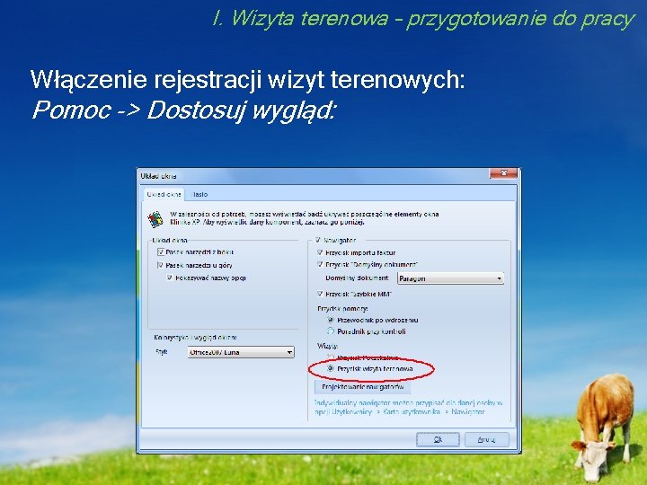 I. Wizyta terenowa – przygotowanie do pracy Włączenie rejestracji wizyt terenowych: Pomoc -> Dostosuj