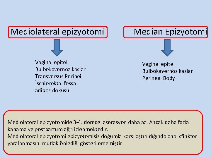 Mediolateral epizyotomi Vaginal epitel Bulbokavernöz kaslar Transversus Perinei İschiorektal fossa adipoz dokusu Median Epizyotomi