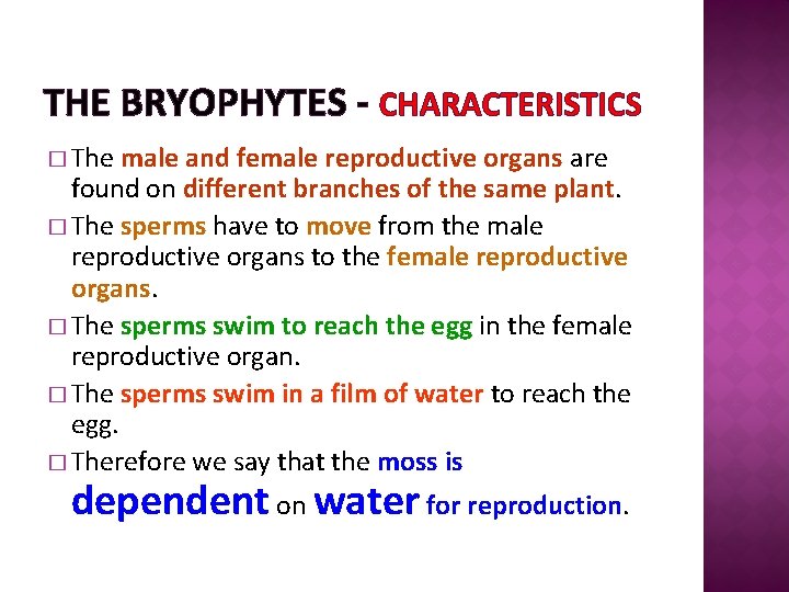 THE BRYOPHYTES - CHARACTERISTICS � The male and female reproductive organs are found on