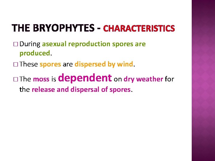 THE BRYOPHYTES - CHARACTERISTICS � During asexual reproduction spores are produced. � These spores