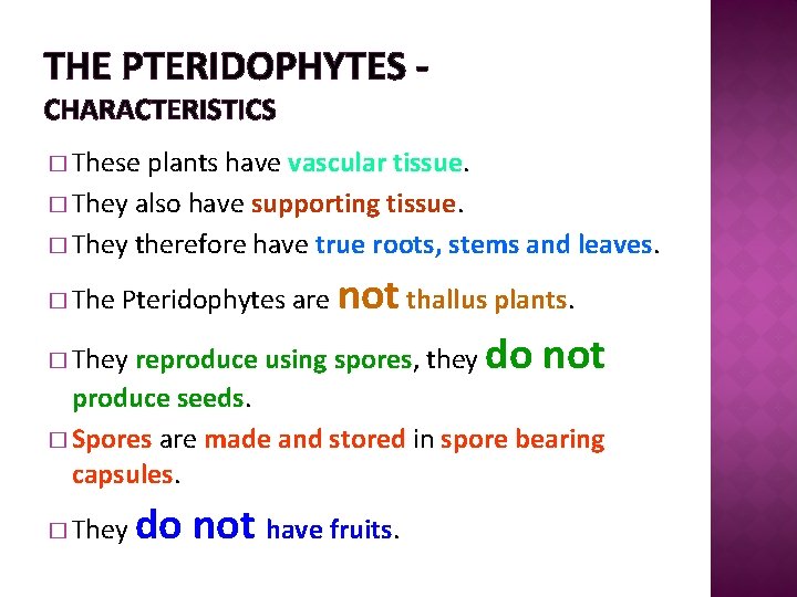 THE PTERIDOPHYTES CHARACTERISTICS � These plants have vascular tissue. � They also have supporting