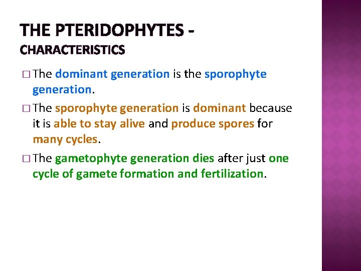 THE PTERIDOPHYTES CHARACTERISTICS � The dominant generation is the sporophyte generation. � The sporophyte