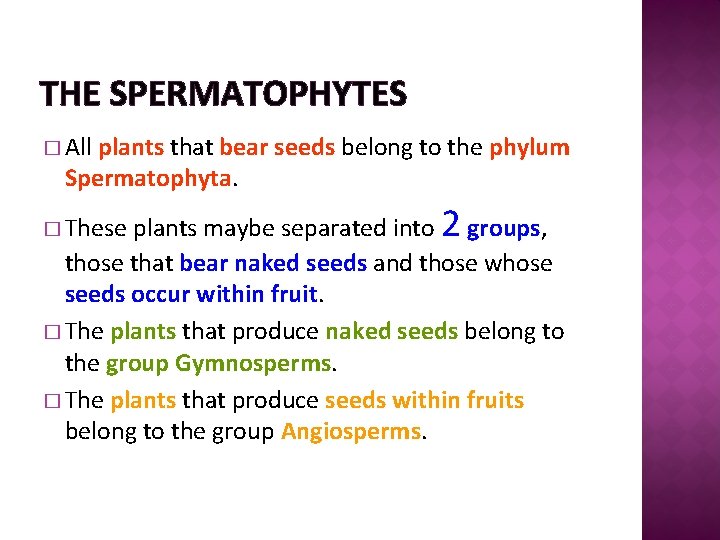 THE SPERMATOPHYTES � All plants that bear seeds belong to the phylum Spermatophyta. plants