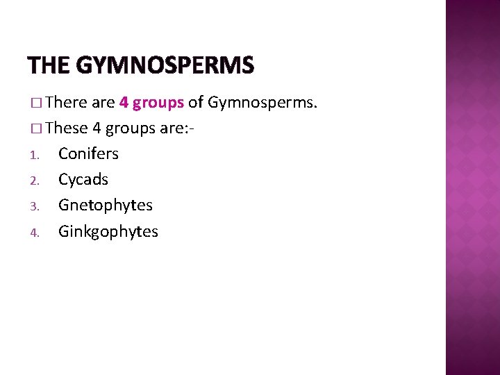 THE GYMNOSPERMS � There are 4 groups of Gymnosperms. � These 4 groups are: