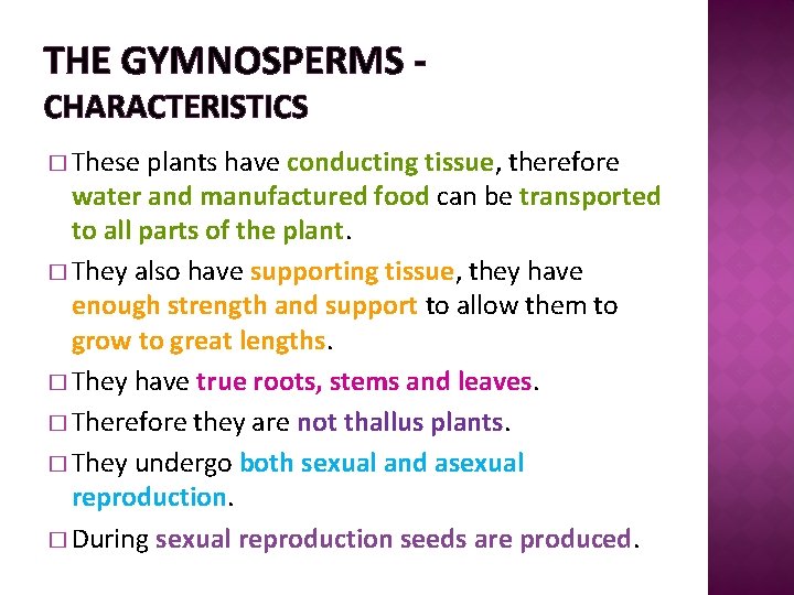 THE GYMNOSPERMS CHARACTERISTICS � These plants have conducting tissue, therefore water and manufactured food