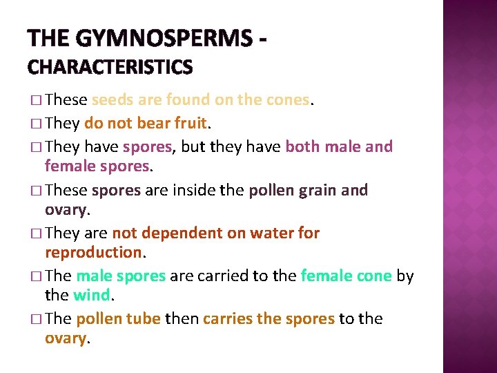 THE GYMNOSPERMS CHARACTERISTICS � These seeds are found on the cones. � They do