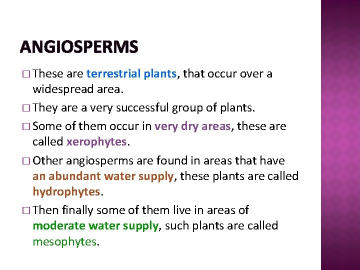 ANGIOSPERMS � These are terrestrial plants, that occur over a widespread area. � They