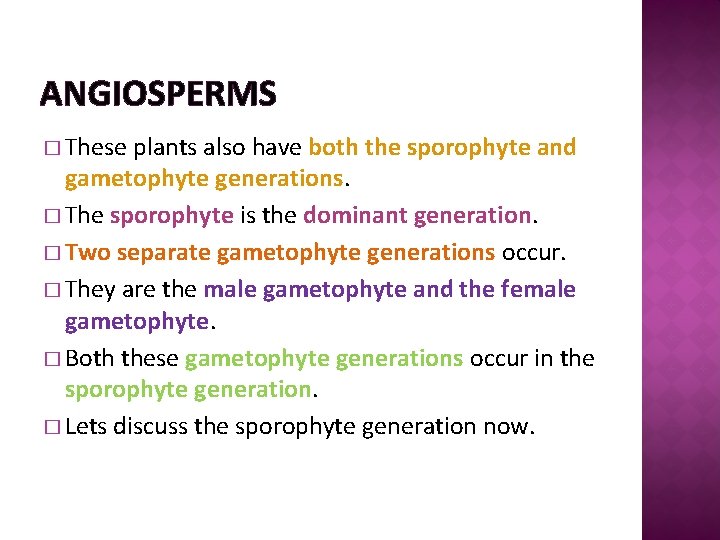 ANGIOSPERMS � These plants also have both the sporophyte and gametophyte generations. � The