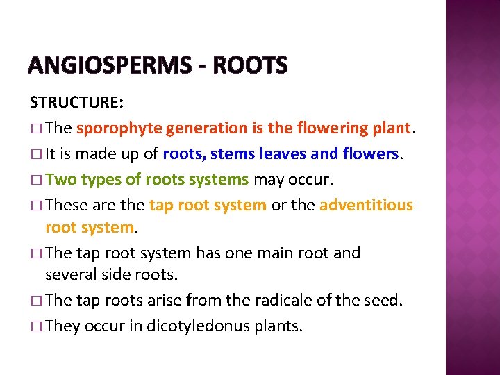 ANGIOSPERMS - ROOTS STRUCTURE: � The sporophyte generation is the flowering plant. � It