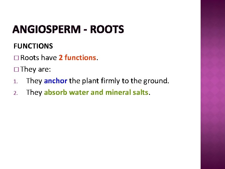 ANGIOSPERM - ROOTS FUNCTIONS � Roots have 2 functions. � They are: 1. They