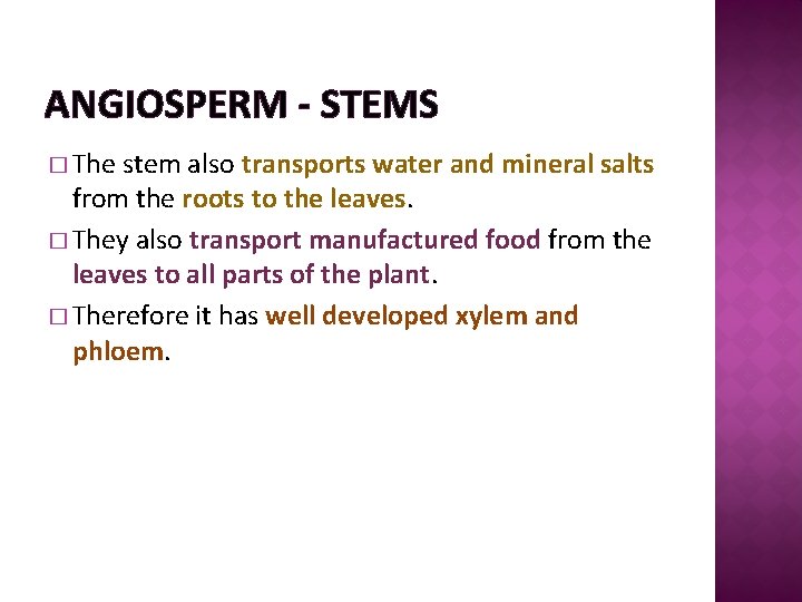 ANGIOSPERM - STEMS � The stem also transports water and mineral salts from the