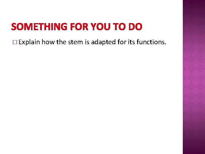 SOMETHING FOR YOU TO DO � Explain how the stem is adapted for its