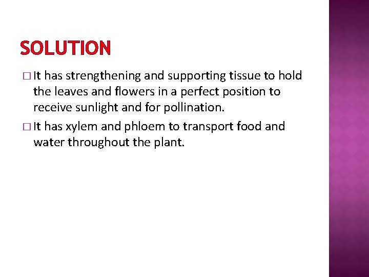 SOLUTION � It has strengthening and supporting tissue to hold the leaves and flowers