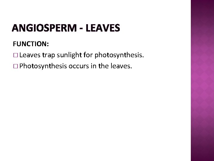 ANGIOSPERM - LEAVES FUNCTION: � Leaves trap sunlight for photosynthesis. � Photosynthesis occurs in