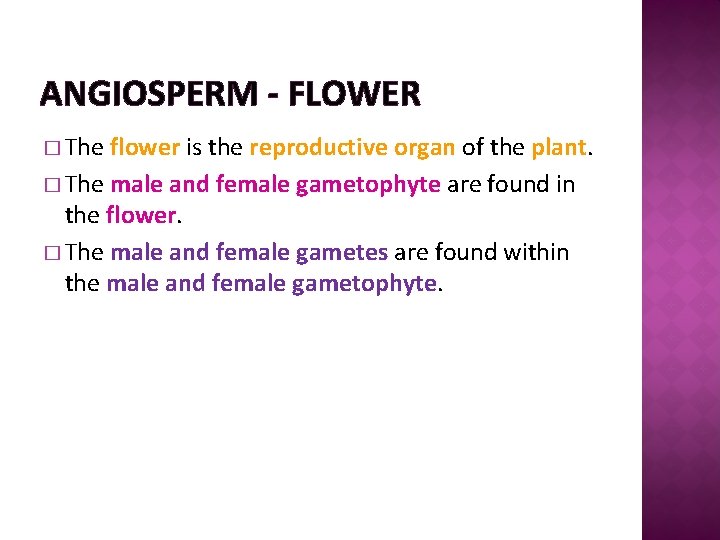 ANGIOSPERM - FLOWER � The flower is the reproductive organ of the plant. �