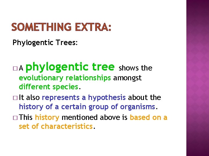 SOMETHING EXTRA: Phylogentic Trees: �A phylogentic tree shows the evolutionary relationships amongst different species.